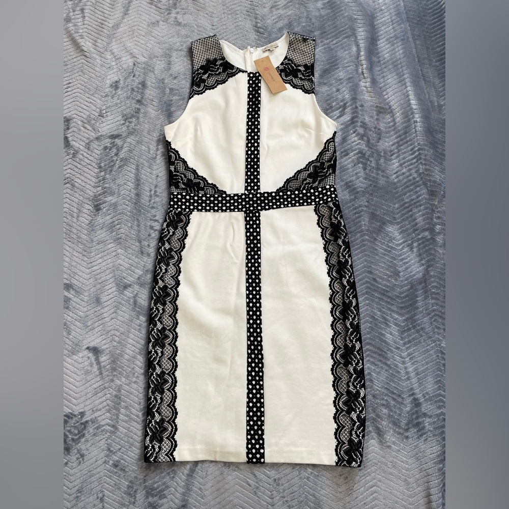 NWT Cremieux Devon Knit Sheath Dress Cream With Black Lace XS